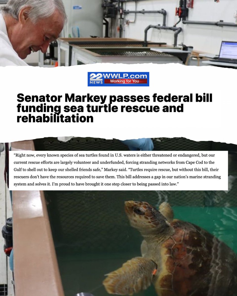 Ed Markey tweet media