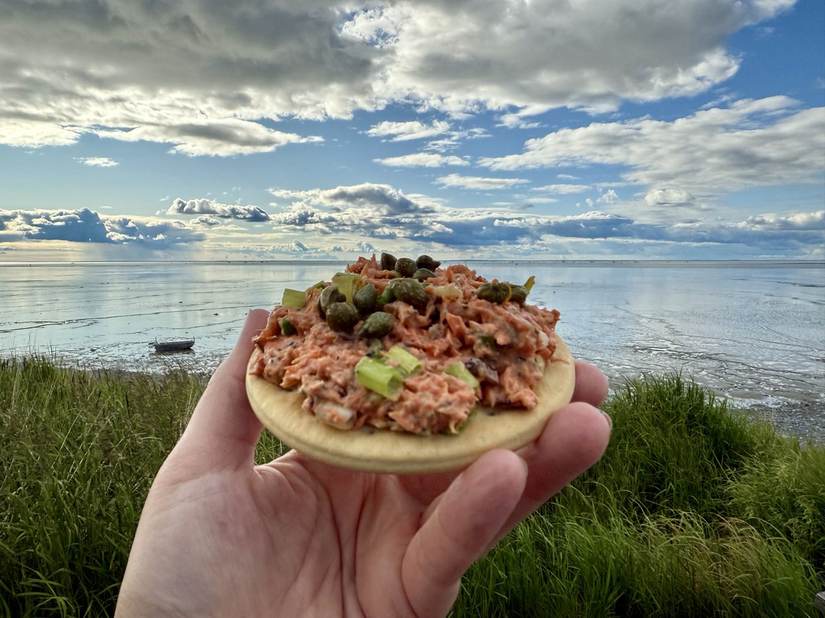 Mrs the Captain ⚓️🐟🧜🏻‍♀️🇺🇸🌷📚🏴‍☠️ tweet media