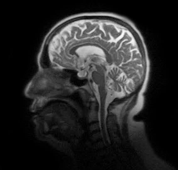 Dr Abdul Hameed 🩺 tweet media