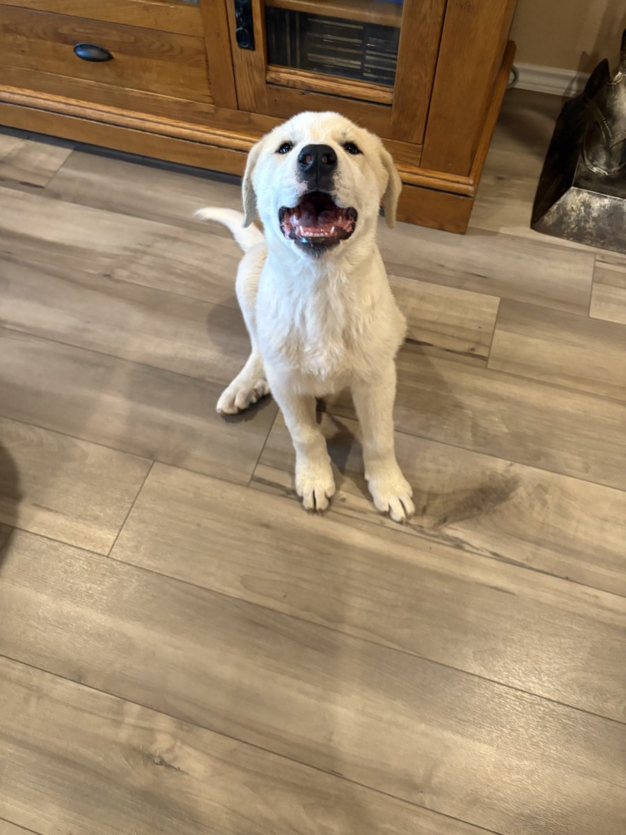 MotherTrucker tweet media