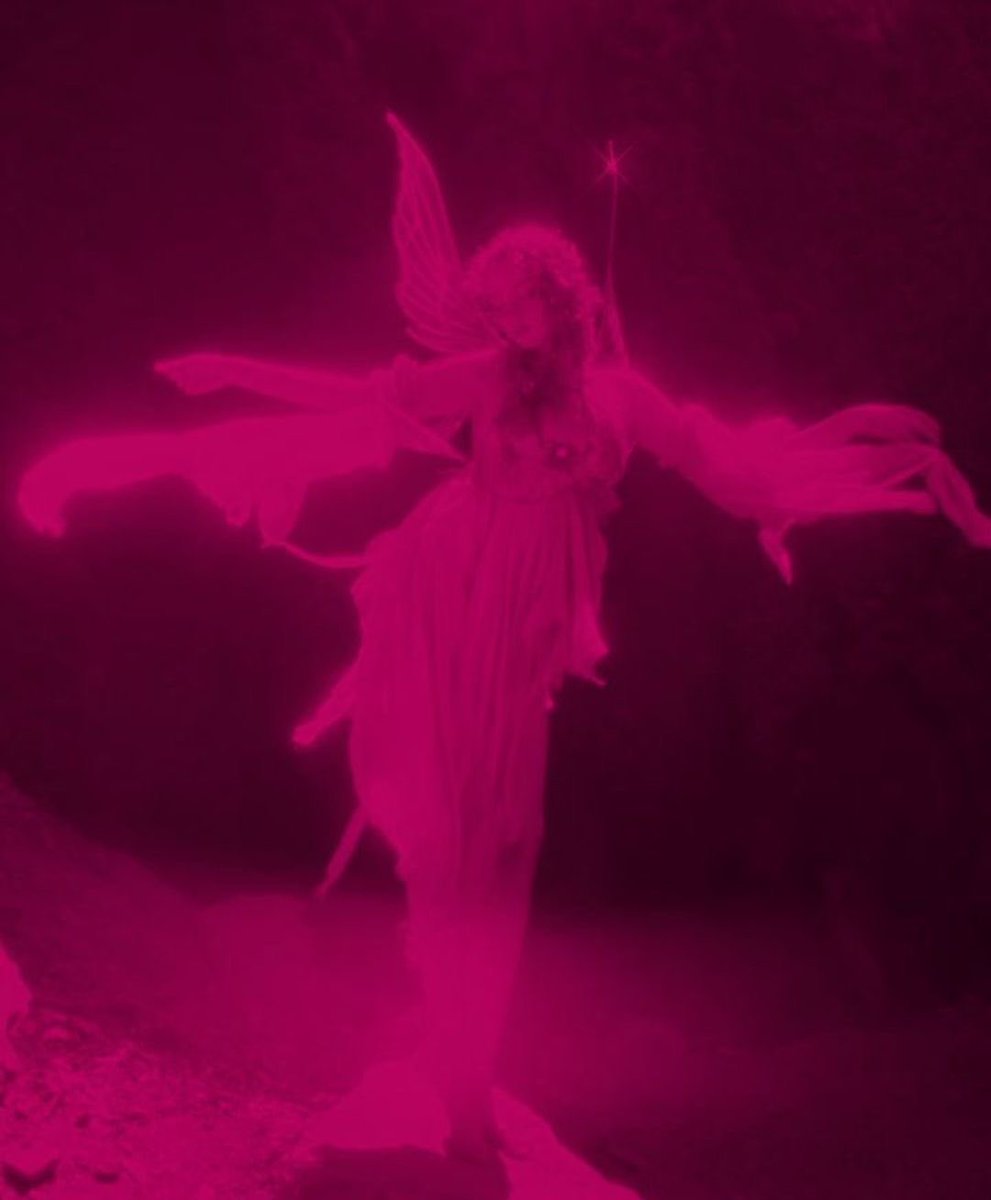 ally ⋆.⋆˙⟡ tweet media