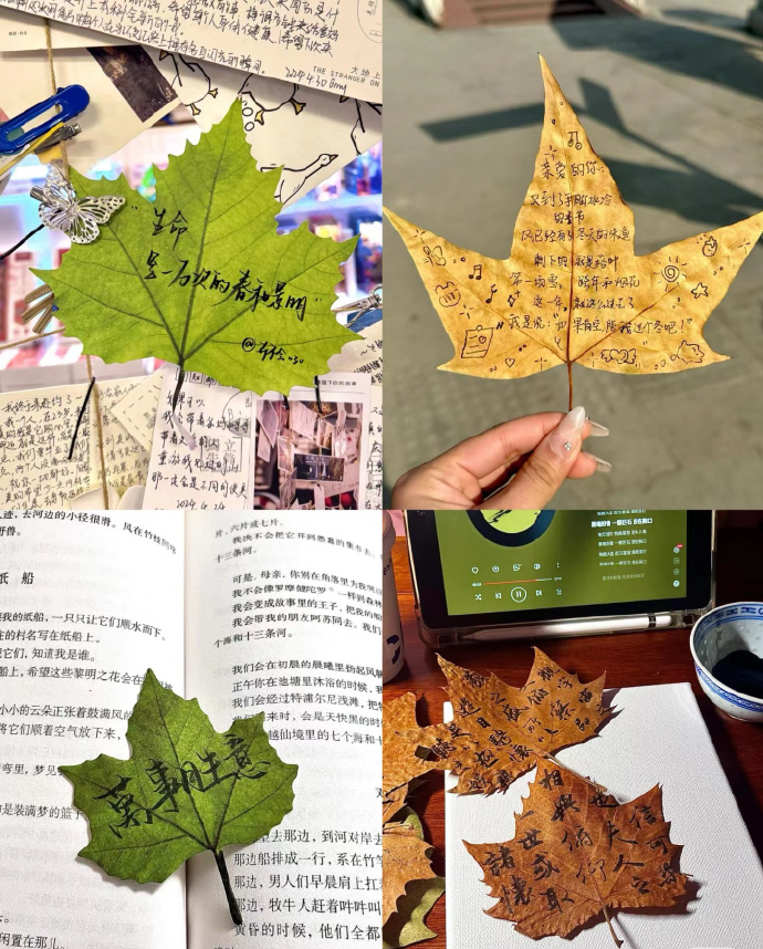 Kate Meehan tweet media