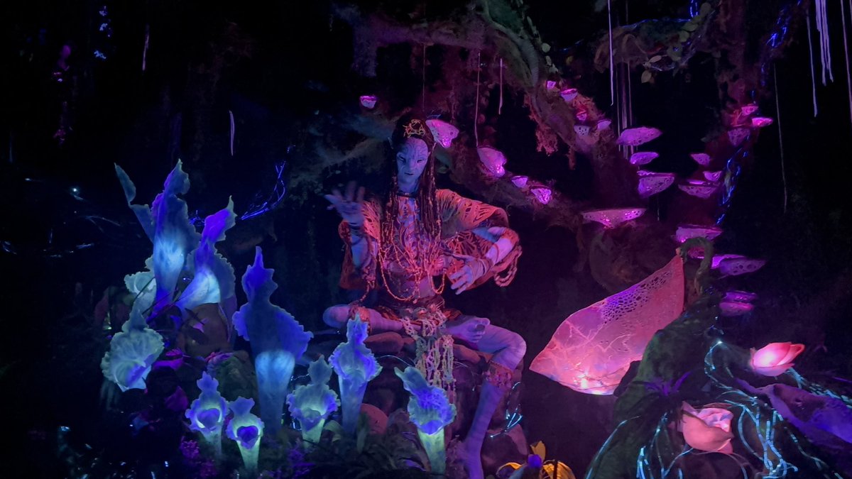 Angry Passholder tweet media