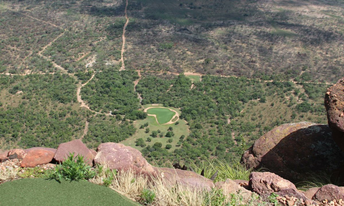 South Africa Golf Tours tweet media