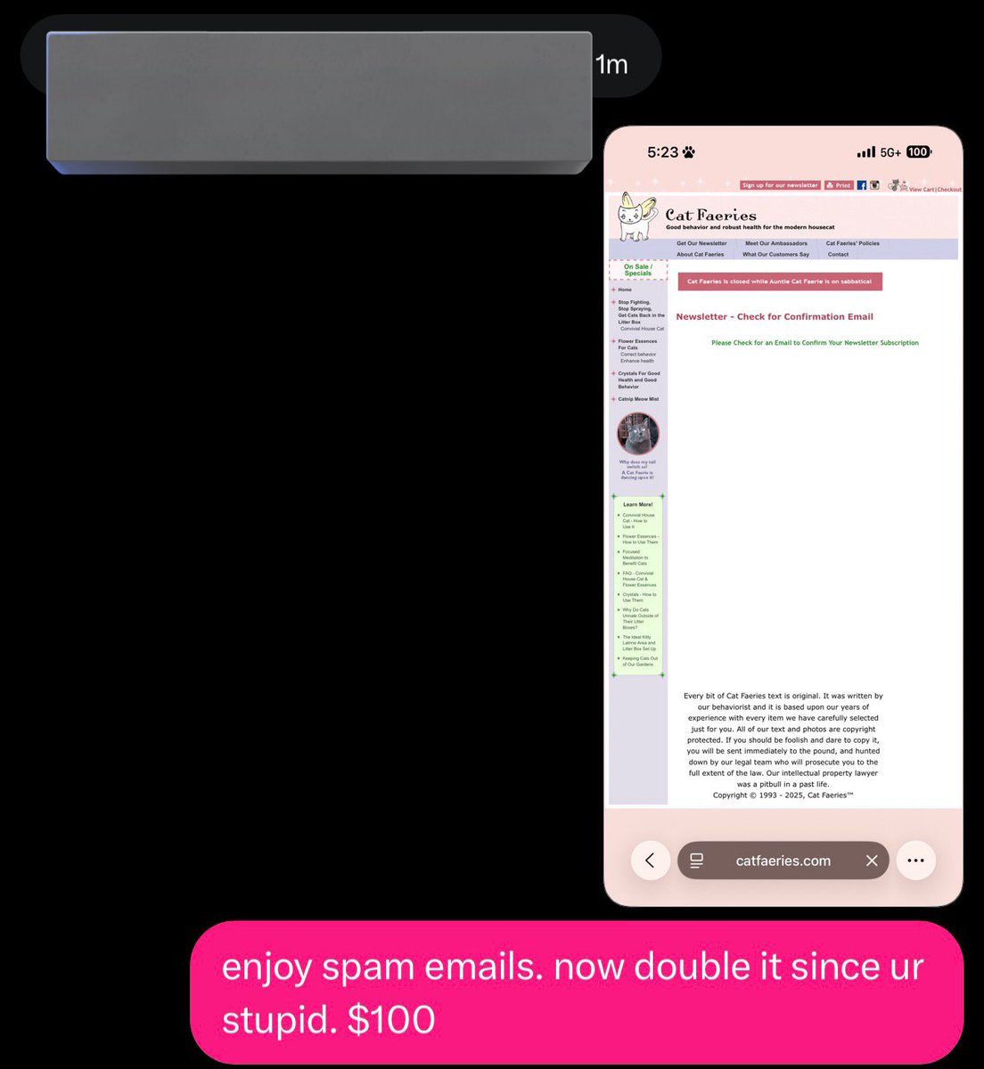 addi ⋆.𐙚 ̊ findom tweet media