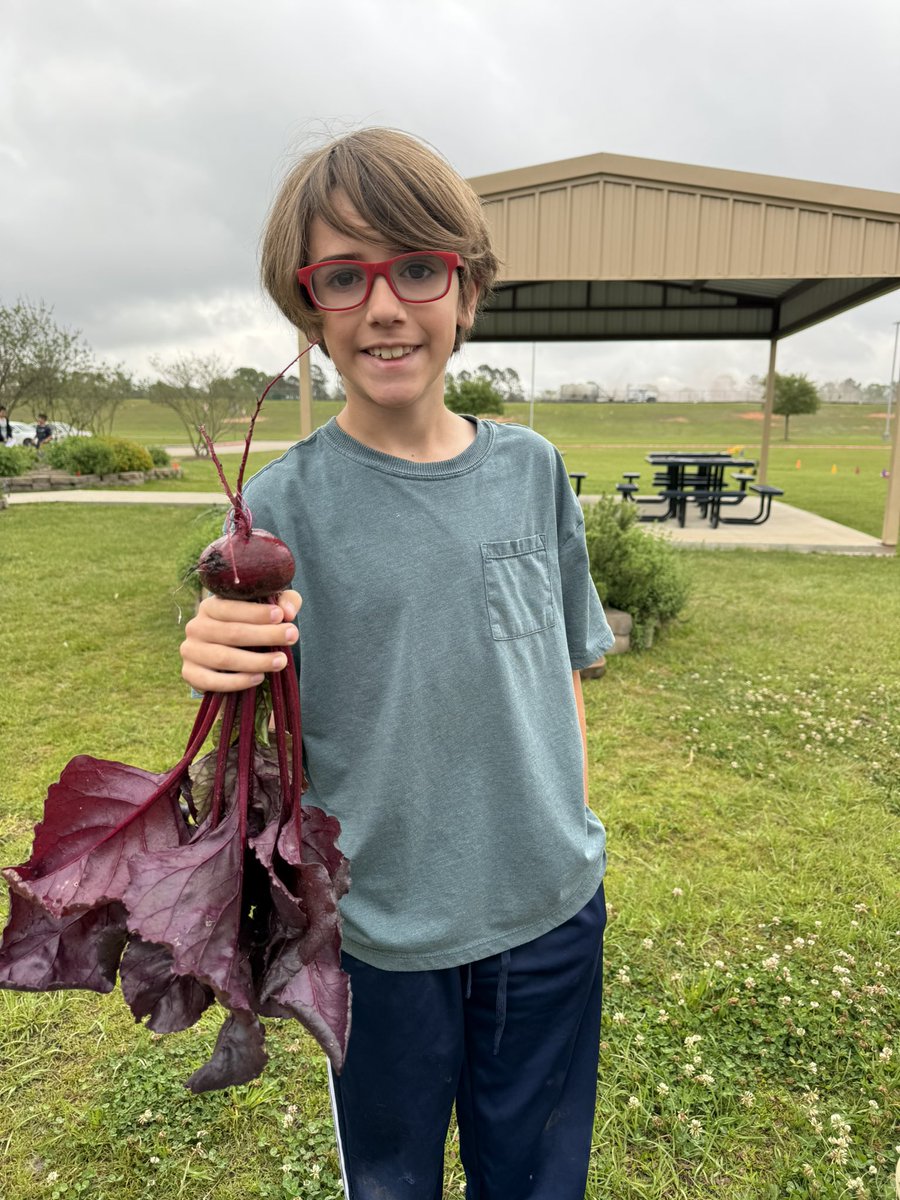 Kara Wolf tweet media