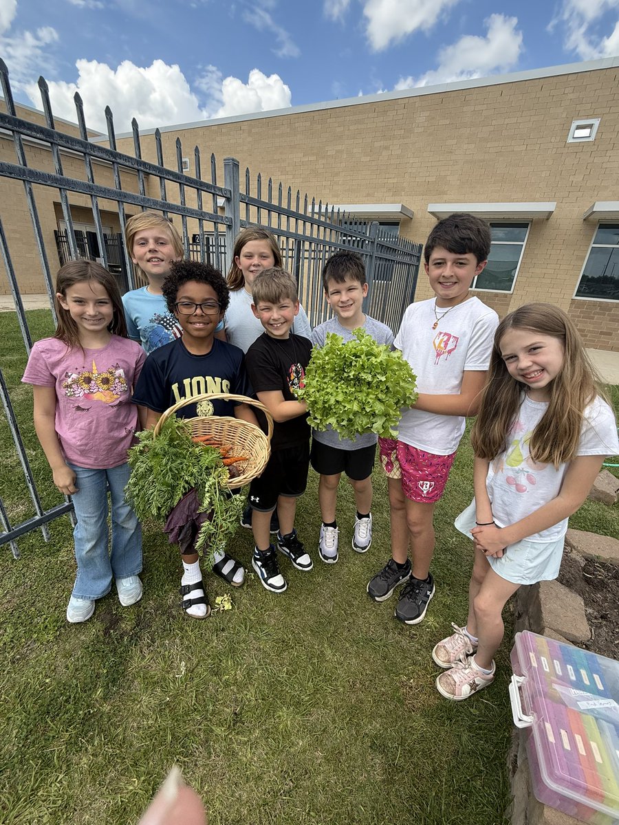 Kara Wolf tweet media