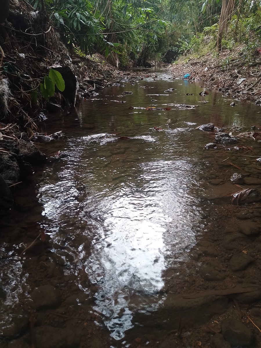 yue kasmir tweet media