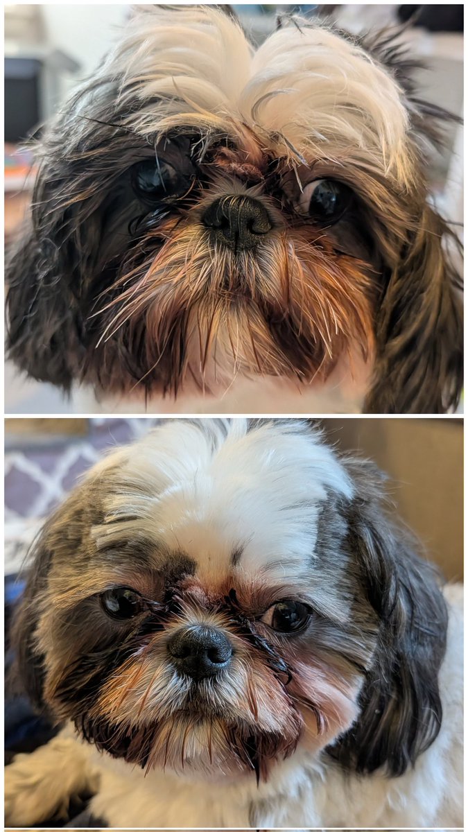 えりんこ☆パイナポー tweet media