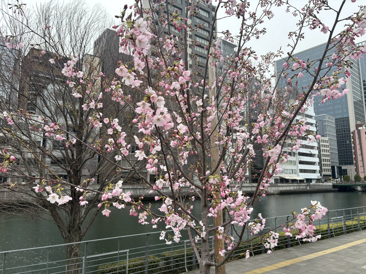 beer@三十路OL tweet media