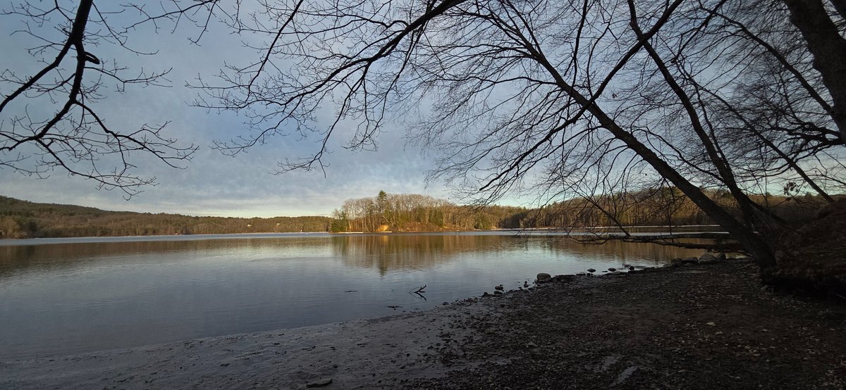 emscreams tweet media