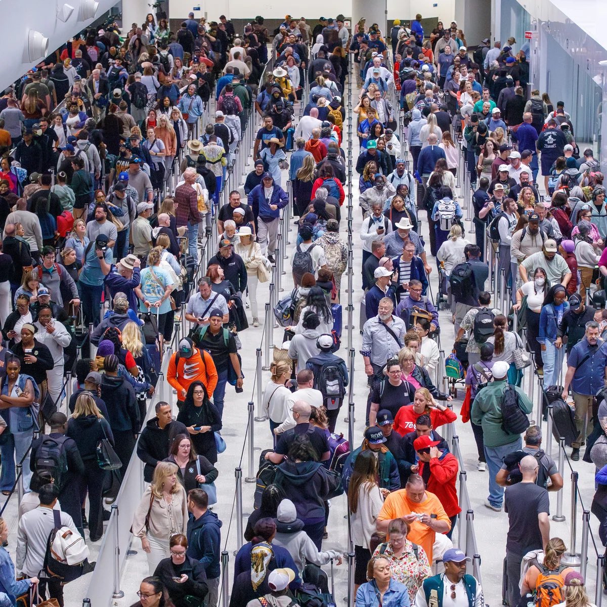 David Santa Carla 🦇 tweet media