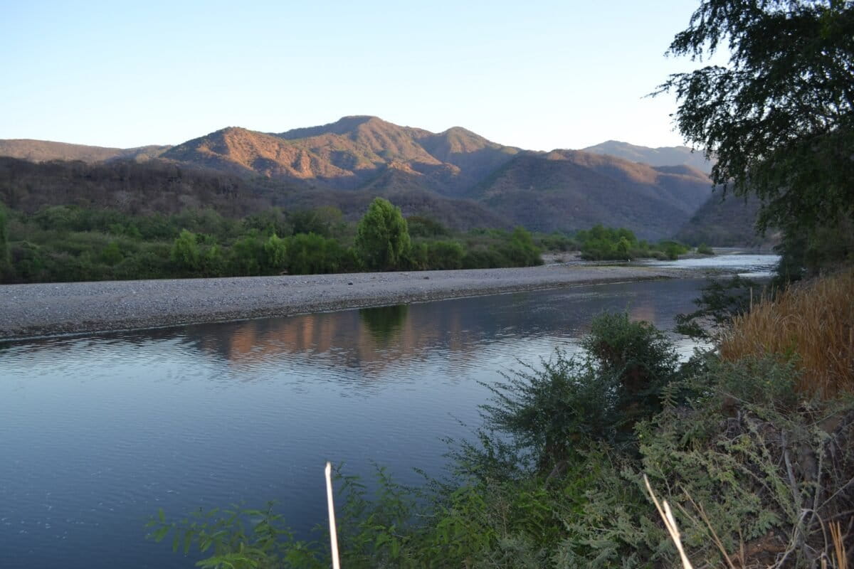 Mongabay Latam tweet media