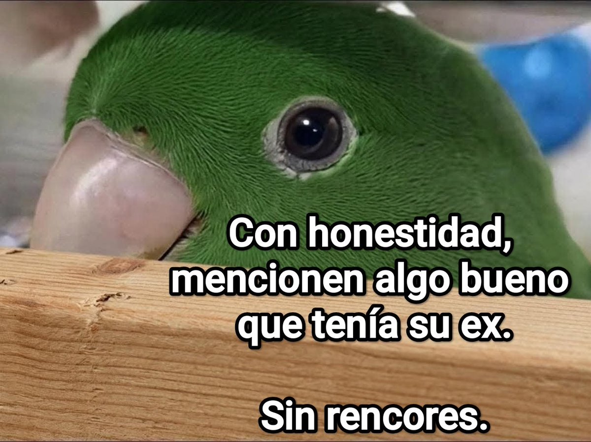 Cap Briagowsky tweet media