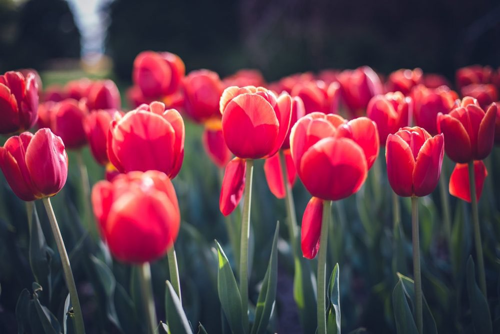 NewInZurich tweet media