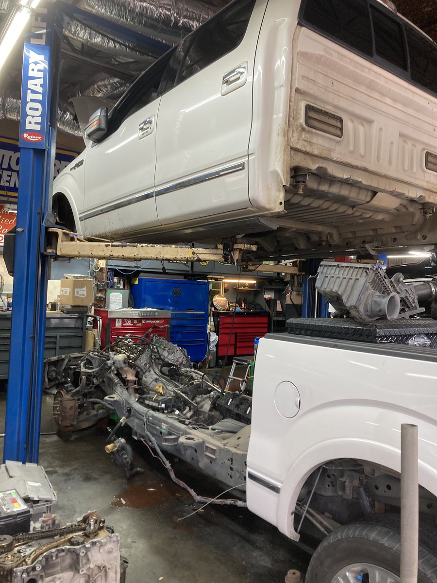 MAGA 🍄🍄🍄 tweet media