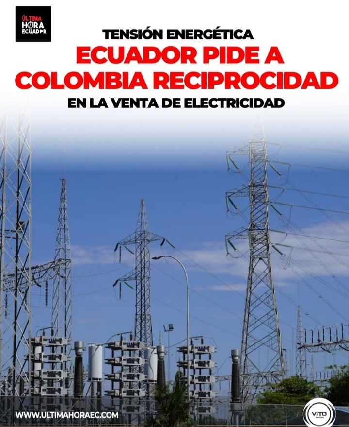 Antonella A. 𓃶☭☫ tweet media