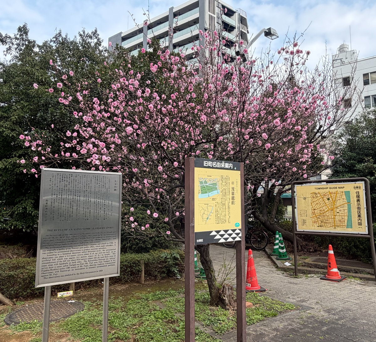 トランセンドジャパン公式🐯 tweet media