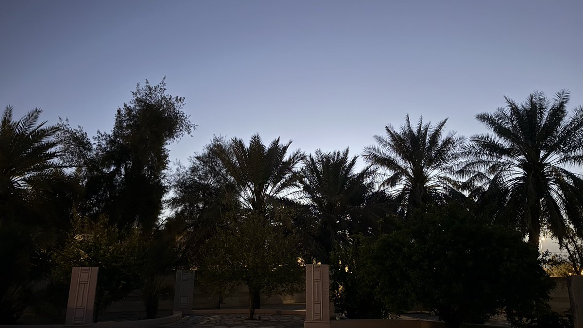 أيّوه tweet media