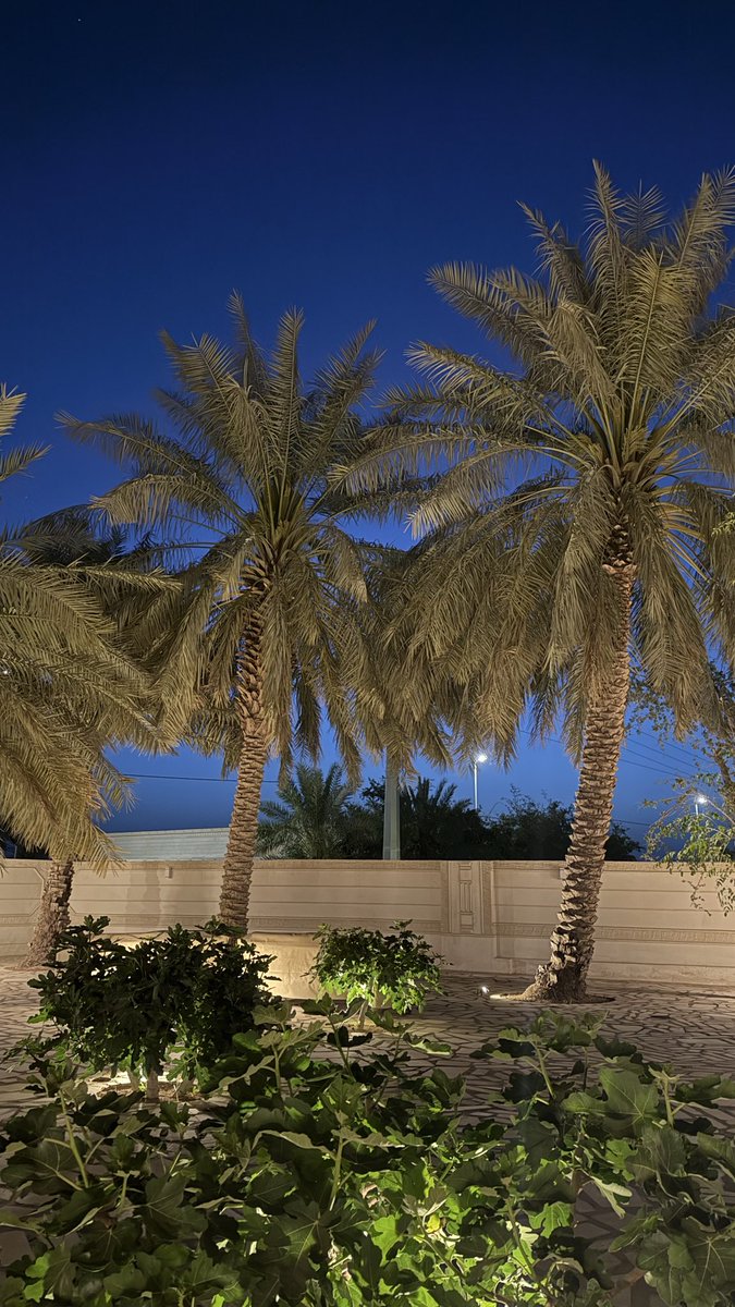 أيّوه tweet media