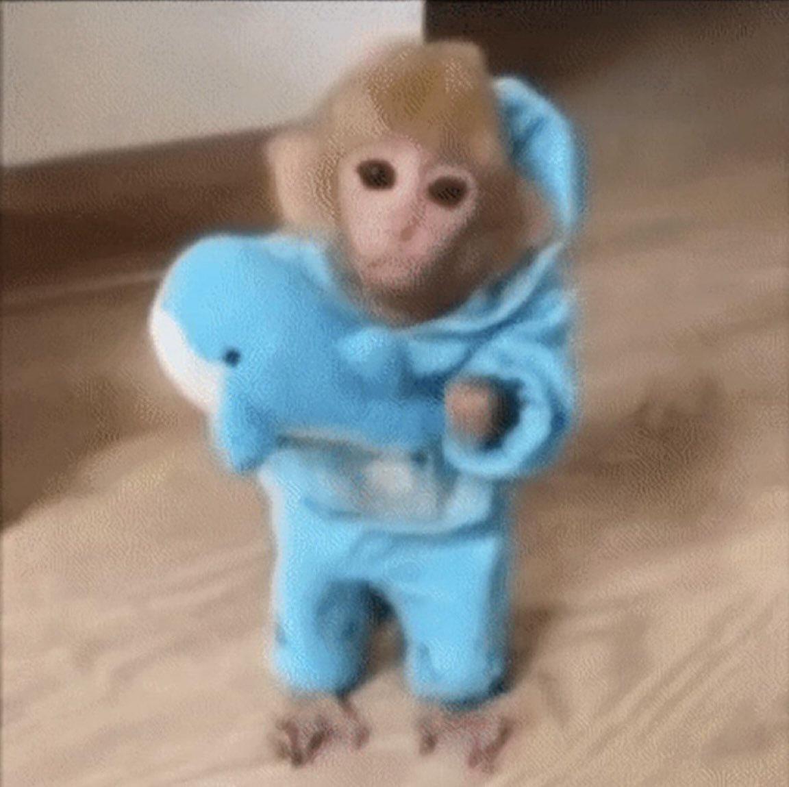 souljabryce tweet media