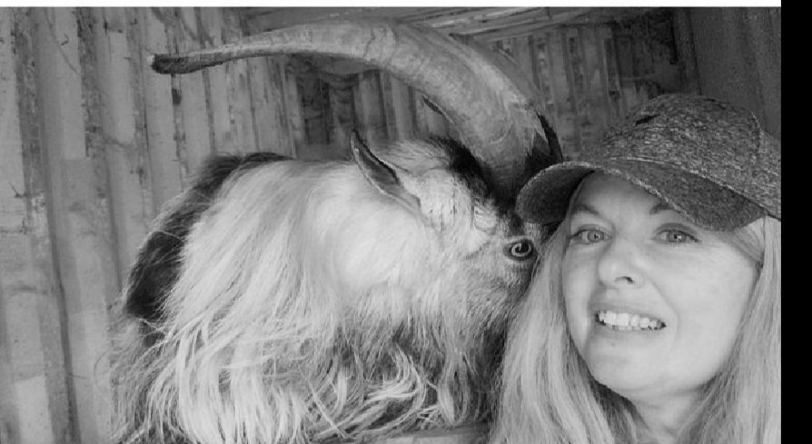 catlowry54's tweet photo. Well,he was the GOAT! He inspired me to fight for the goat put up on scaffold in #Kilorglin - dumped outside a house with a newborn baby & insisted he joined in on walks. He fell ill & passed quickly before vet got here.He will be https://t.co/u0PSV75rLg #MacDara https://t.co/DK5MRCmges