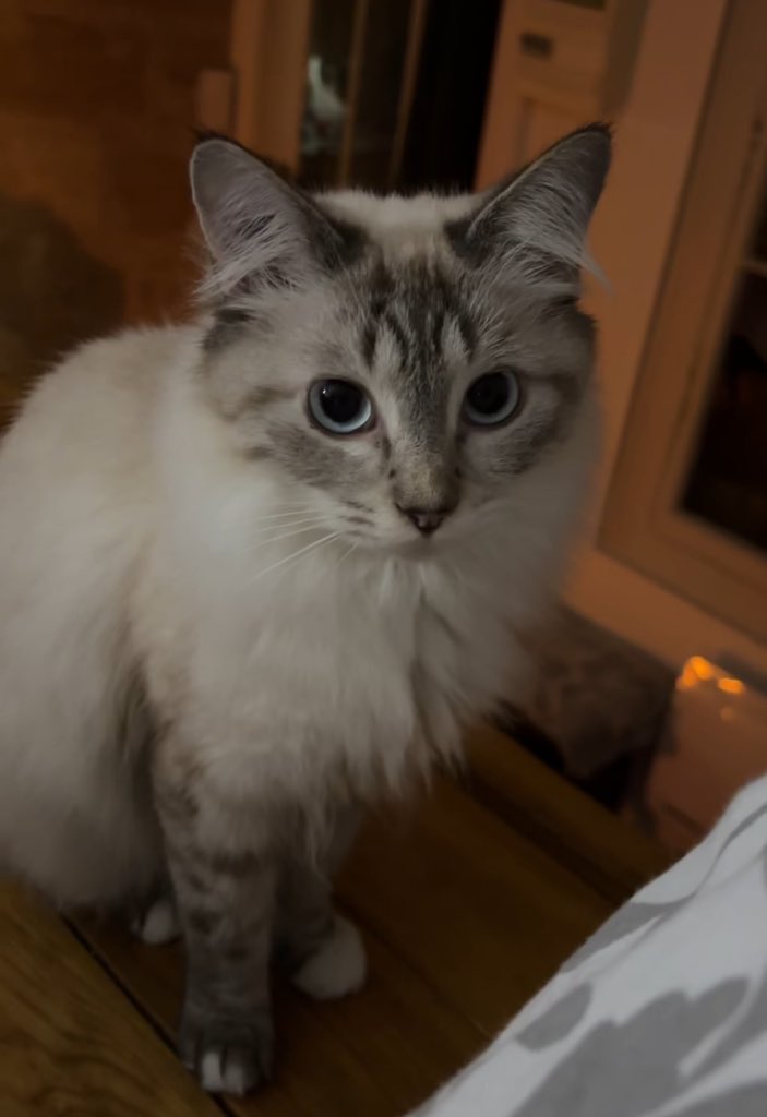 cam 🏹 tweet media