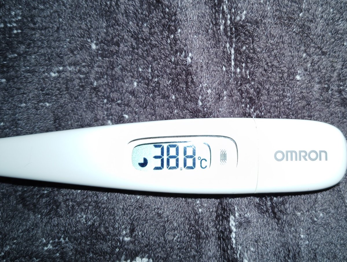 ますまよ@ほぼマイクラ垢 tweet media