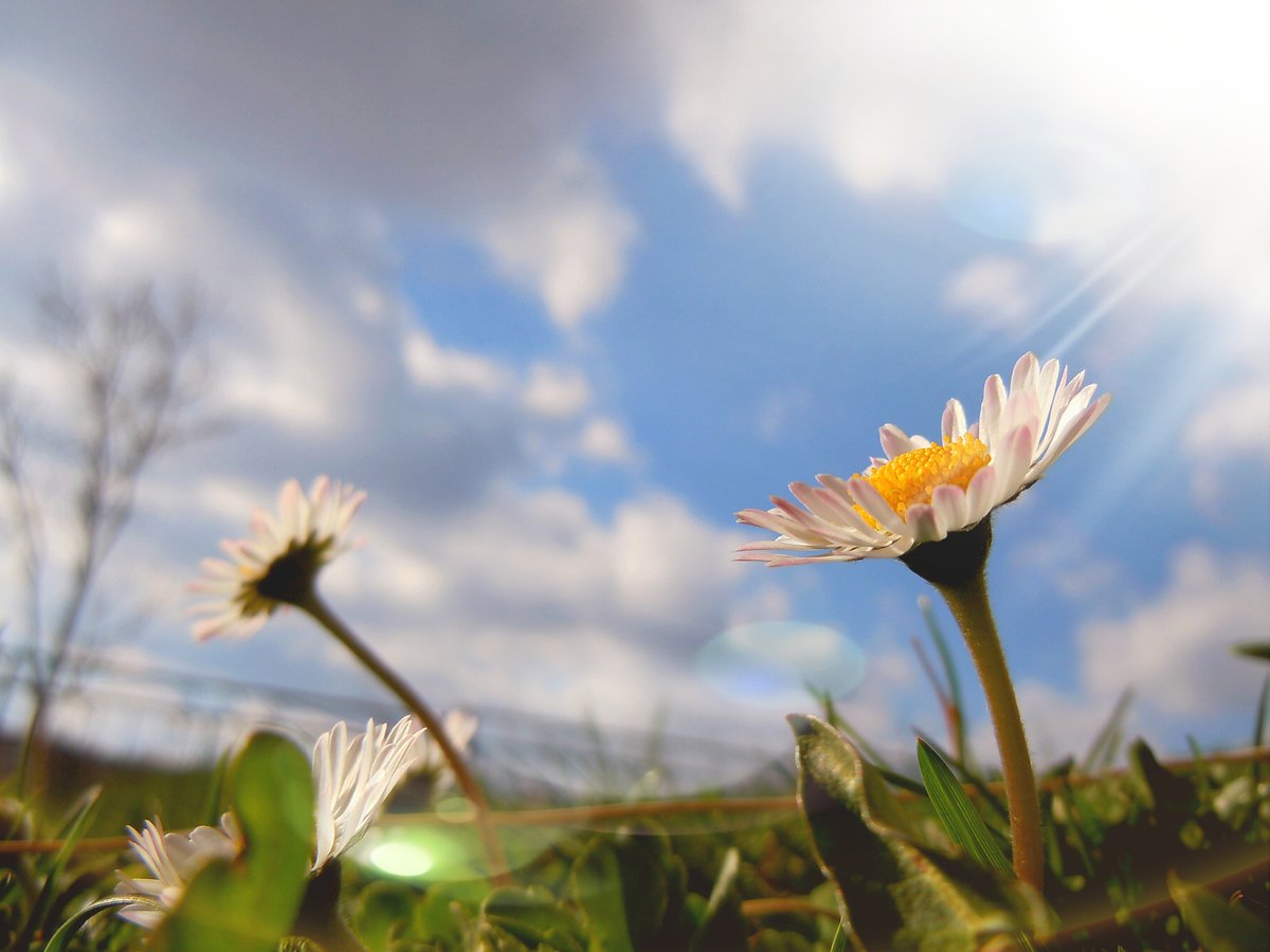 euro consult gmbh Ag tweet media