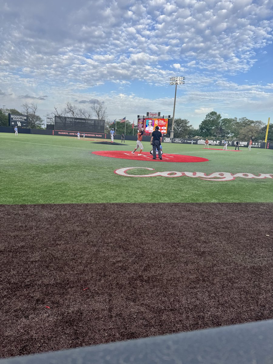 Michelle Torregrossa tweet media