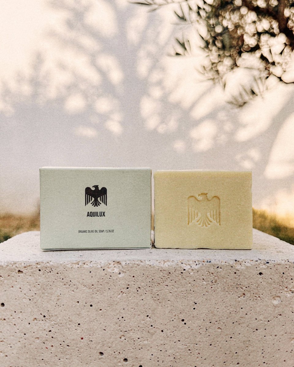 ⚡️🌞 Sol Brah 🌞🐬 tweet media