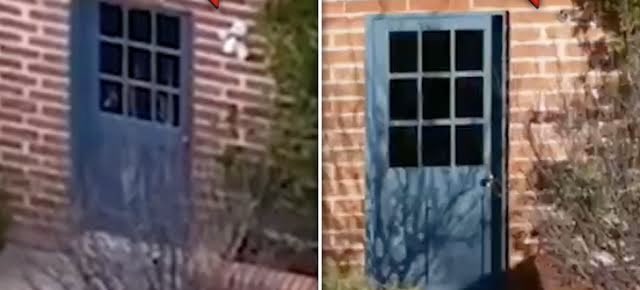 True Crime Belieber tweet media