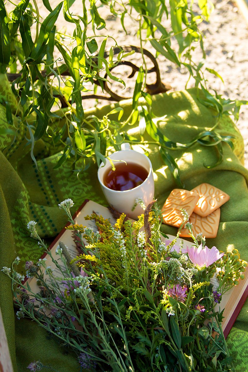 DARKWIND tweet media