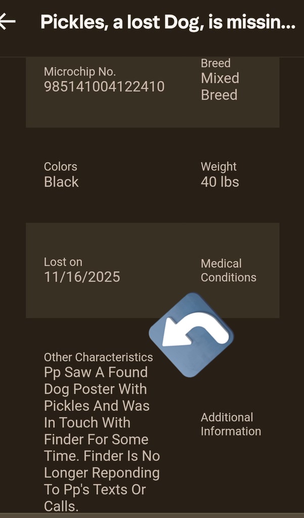 MeowMiya88's tweet image. 📢🇺🇸🗽🆘️⏳️🚨💔😿🐶Please RT to find Pickles #NYC #missingdog #lostdog #Manhattan #DogsOfX #dogsoftwitter  @HAPetRescuer