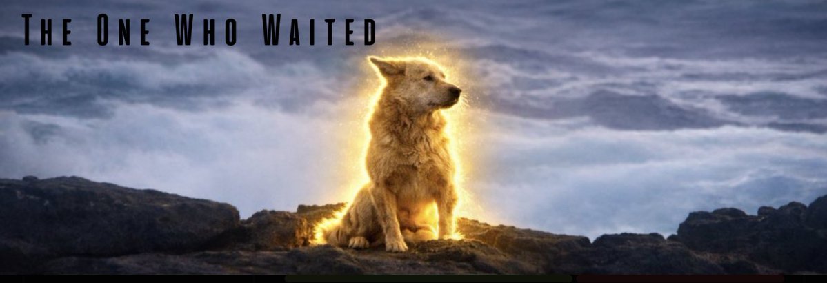 CuttleFish tweet media