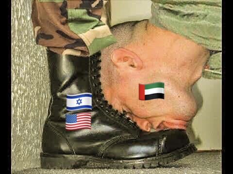 Purity test enforcer 🇵🇸 tweet media