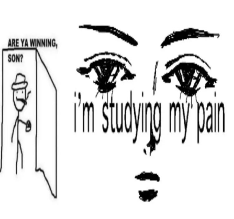 🌬 Catalina tweet media