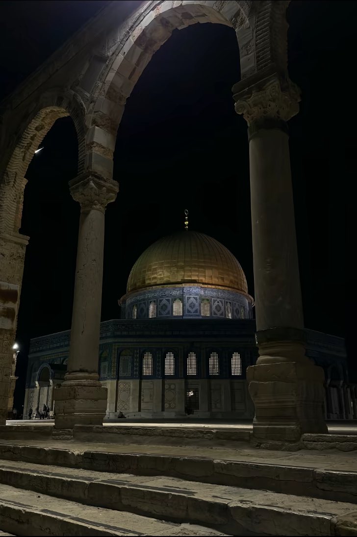 ​﴿ القُـرآن الكَـرِيم ﴾ tweet media