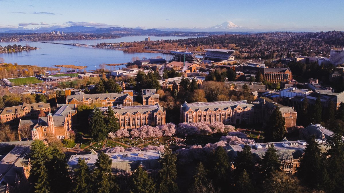 University of Washington tweet media