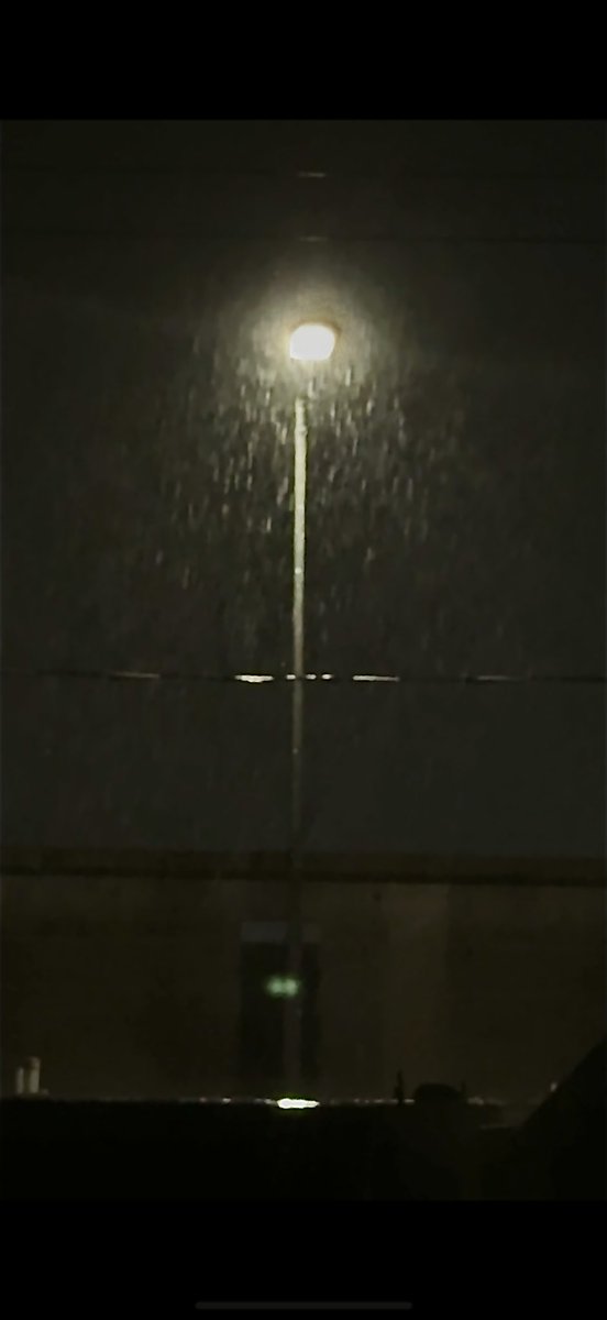 وُرَيداء tweet media