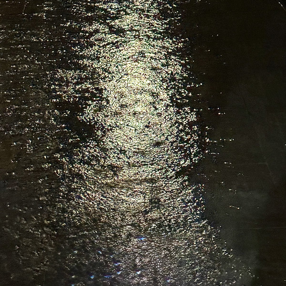 وُرَيداء tweet media