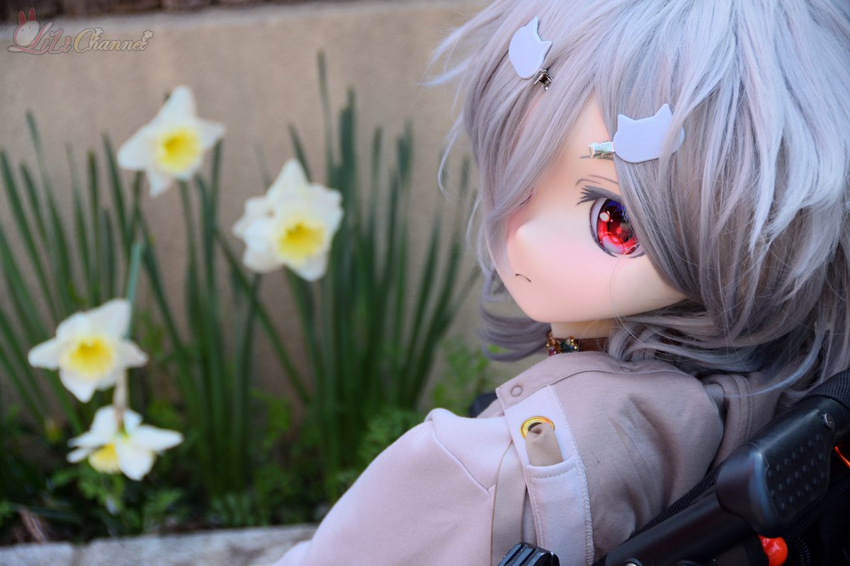 Lili ＠リリちゃんねる【等身大ドール/ドール動画チャンネル】 tweet media