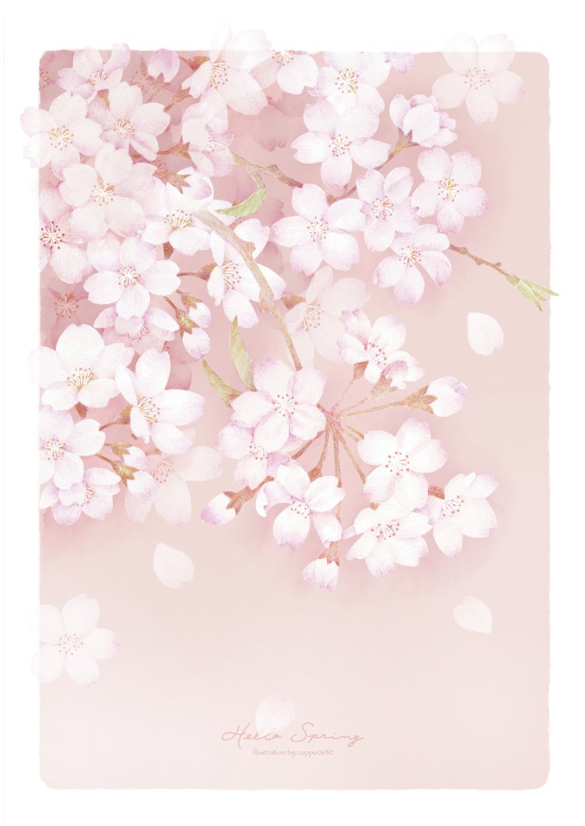 coppe0630🐿 色鉛筆のアトリエ tweet media