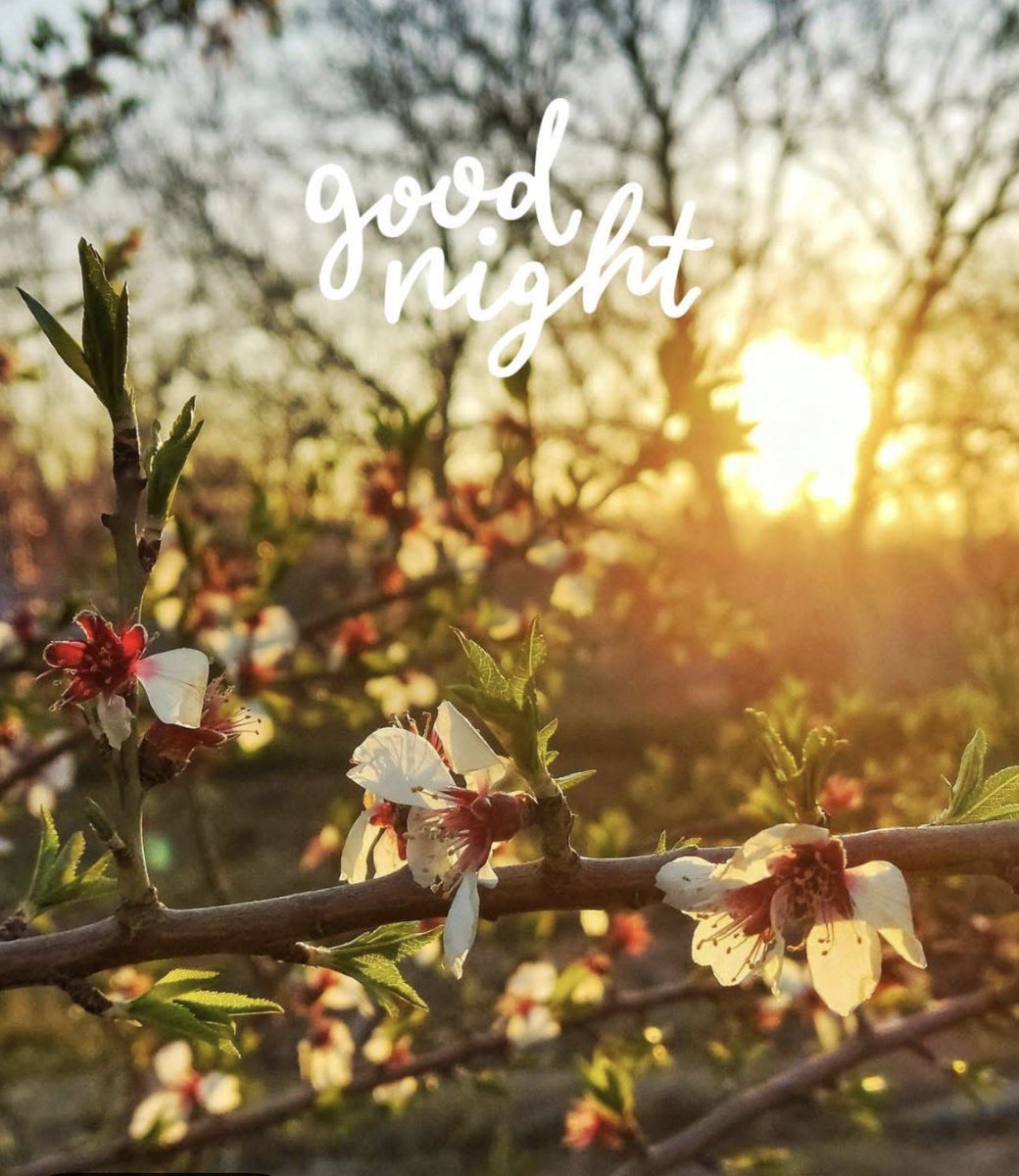 🦋🦋T71🦋🦋 tweet media