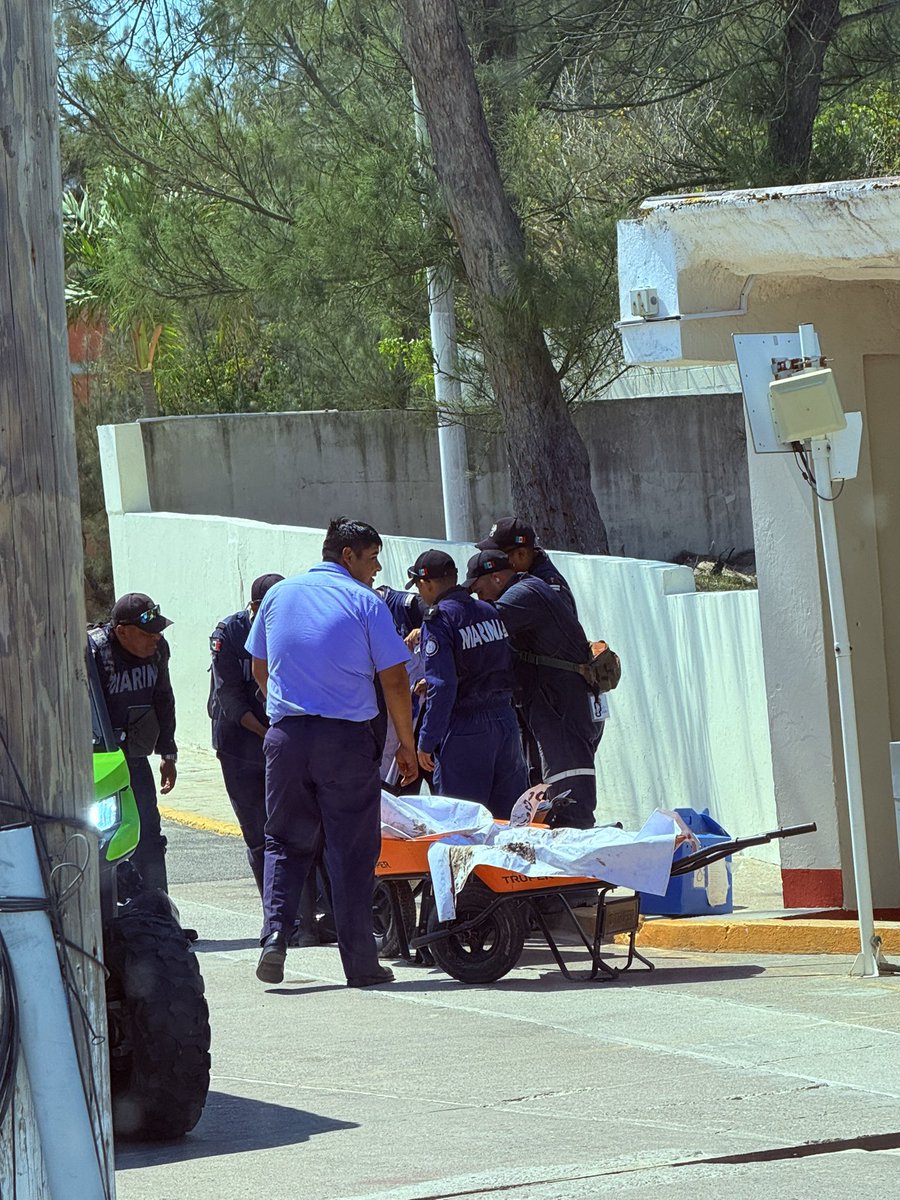 David Ed Castellanos tweet media