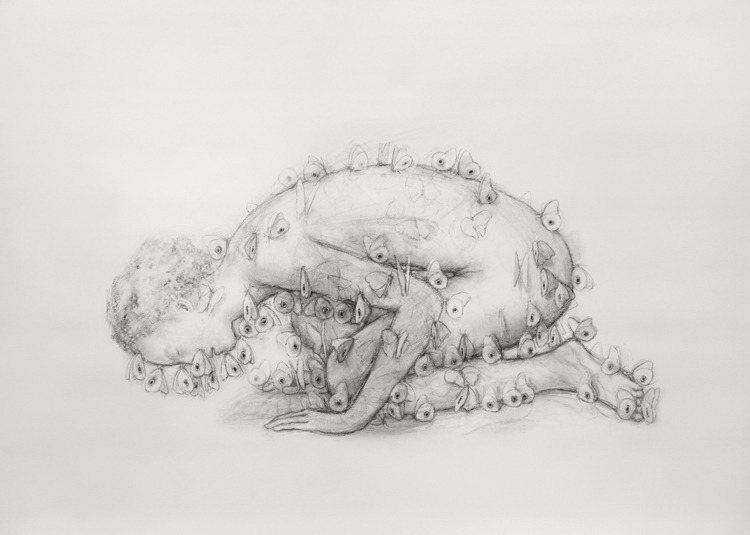 thorncube tweet media