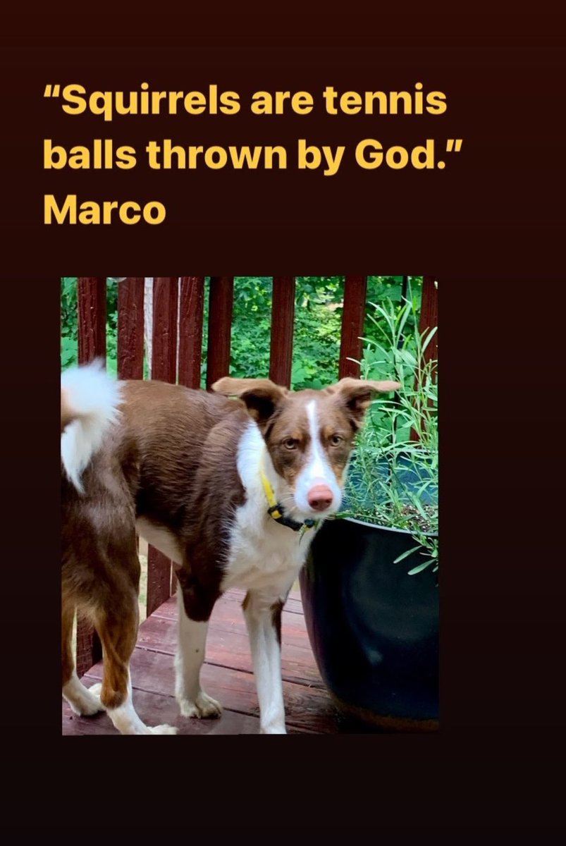 Kevin Avery tweet media