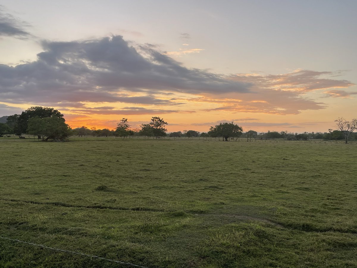 masmarmol's tweet photo. Atardecer altosinuano https://t.co/dyhtywdOoO