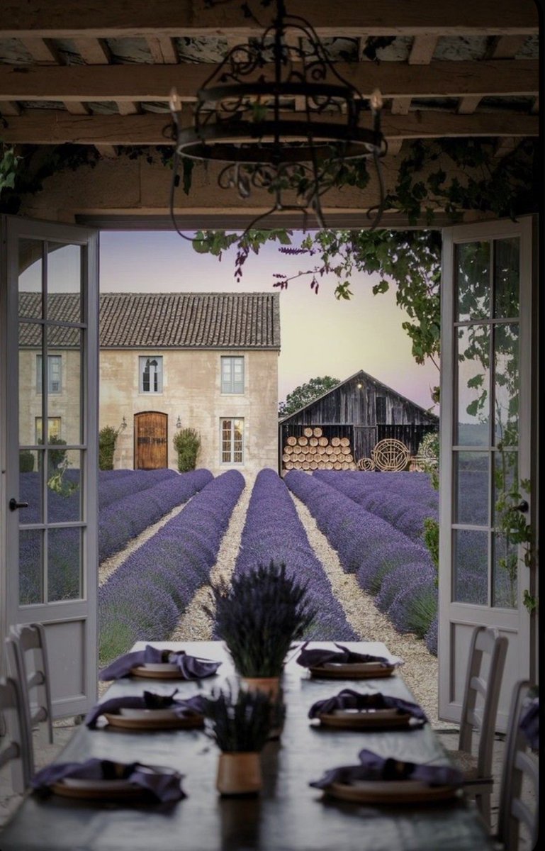 Elle Lookbook tweet media