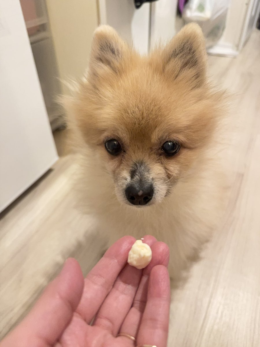 SUZUKA🍺🐶歌酒✈️令和の真尾まお tweet media